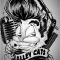 Alley Cats Car Club