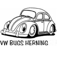 VW Bugs Herning