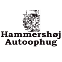 Hammershøj Autophug Samling
